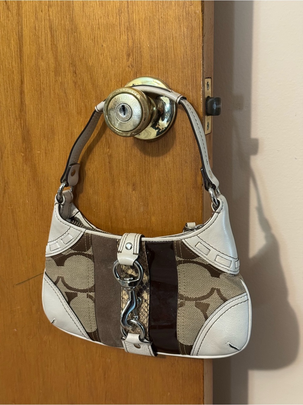 Coach Hamptons Signature Multi-Texture Python Mini Shoulder Bag (Style 10287)